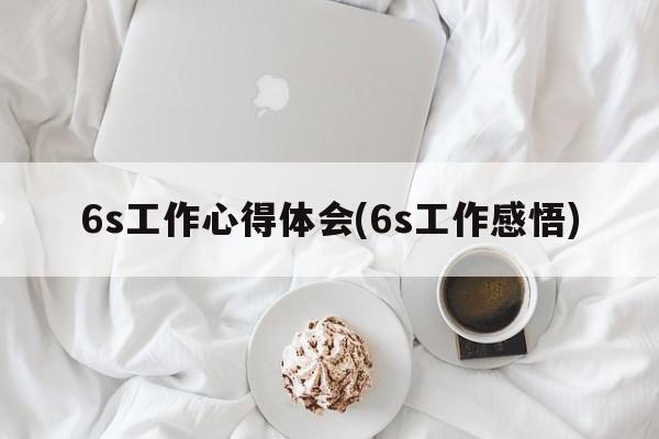 6s工作心得体会(6s工作感悟)